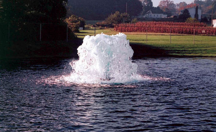 Otterbine Neptune Large Aerating Fountain