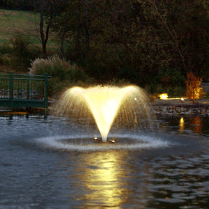0.5 HP Pond Fountain with Lights